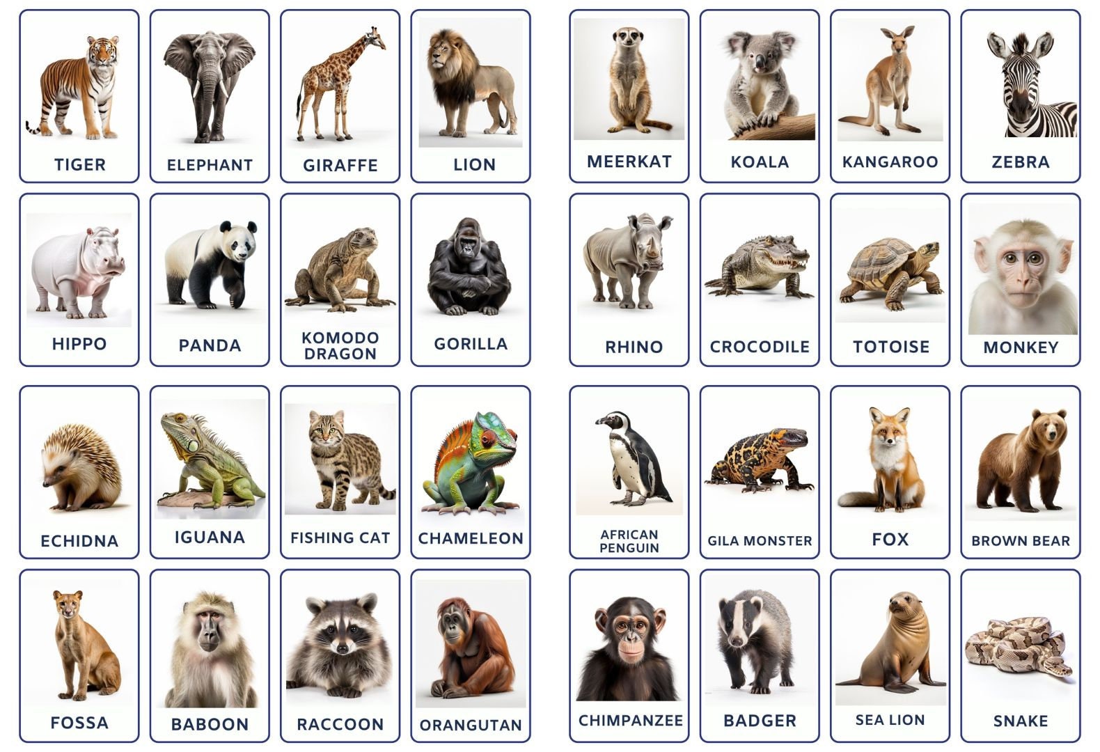 32 Zoo Animals Flashcards, Kids Printable, Nomenclature Cards, Toddler Activity, Montessori Cards, Cards for Preschool