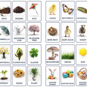 32 Spring Flashcards, Seasons, Flowers, Instant Download, Nature Cards for Montessori Materials, Homeschool Activities, Preschool Learning