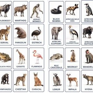 Engaging 32 African Animal Flashcards for Kids, Montessori Inspired, Printable, Perfect for Toddlers and Preschoolers, Explore Wildlife