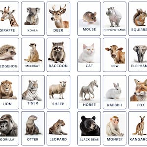 32 Flashcards d’animaux sauvages, animaux africains, cartes pour enfants, cartes de nomenclature, PDF imprimable, Montessori, animaux sauvages, activités préscolaires