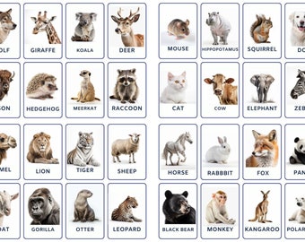 32 Wild Animals Flashcards, African Animals, Kids Cards, Nomenclature Cards, PDF Printable, Montessori, Wild Animals, Preschool Activities