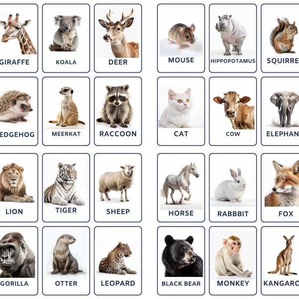 32 Wild Animals Flashcards, African Animals, Kids Cards, Nomenclature Cards, PDF Printable, Montessori, Wild Animals, Preschool Activities