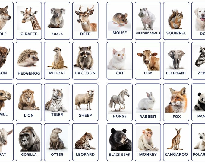 32 Wild Animals Flashcards, African Animals, Kids Cards, Nomenclature ...