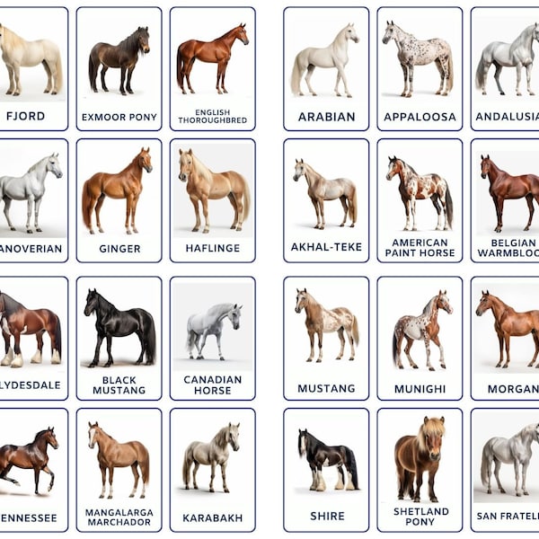 Discover 32 Horse Breeds Flashcards, Montessori-Inspired, Printable Flashcards for Kids, Toddlers and Preschoolers. Educational and Fun