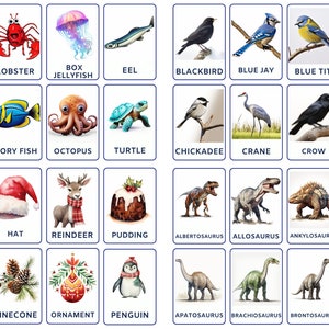 Paquete de tarjetas didácticas de animales y criaturas que incluye Navidad para niños, pájaros imprimibles, dinosaurios, animales de dibujos animados y animales marinos