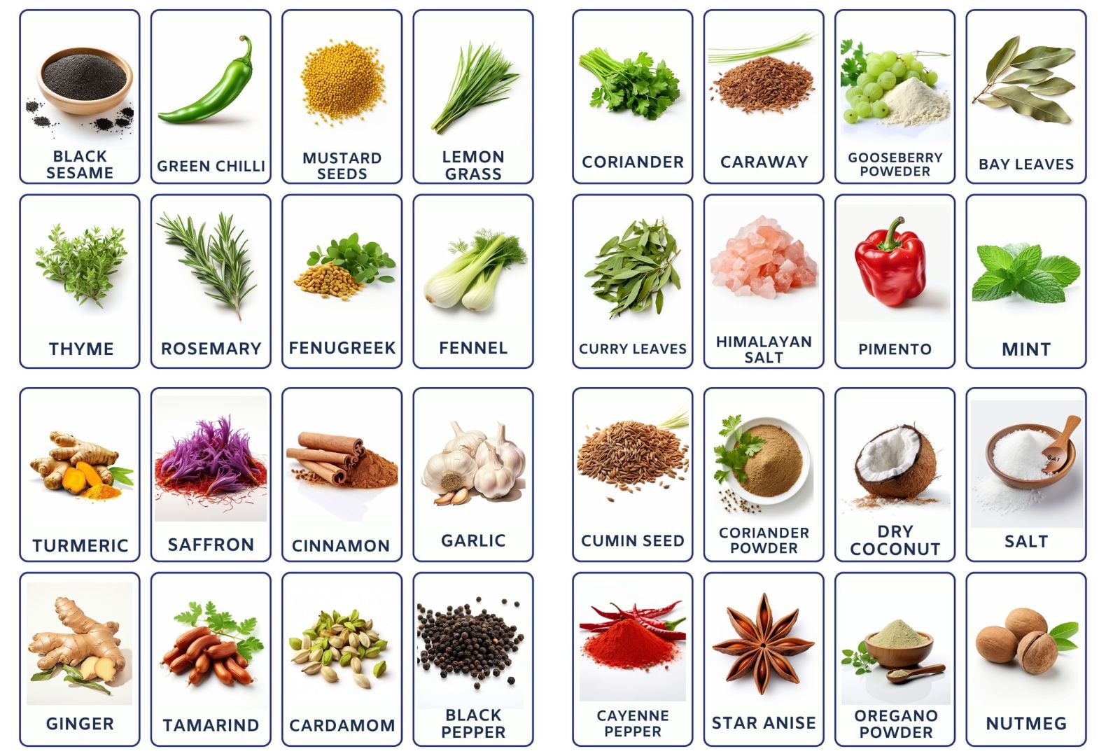 Spice up Learning, 32 Printable Flashcards of Spices for Kids, Montessori Inspired Fun for Toddlers and Preschoolers
