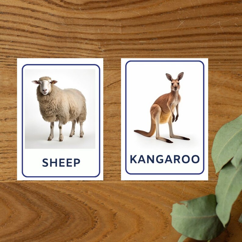 Discover 32 Mammals With Our Montessori Flashcards. Printable PDF Cards ...