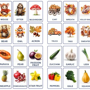 Paquete de tarjetas didácticas del paquete Nature's Bounty que incluye invierno, temporada de otoño, animales de dibujos animados de otoño, frutas de invierno y verduras de invierno