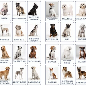 Explore Dog Breeds 32 Montessori Flashcards With Real Pictures, Editable PDF, and Printable Nomenclature Cards for Preschool Learning