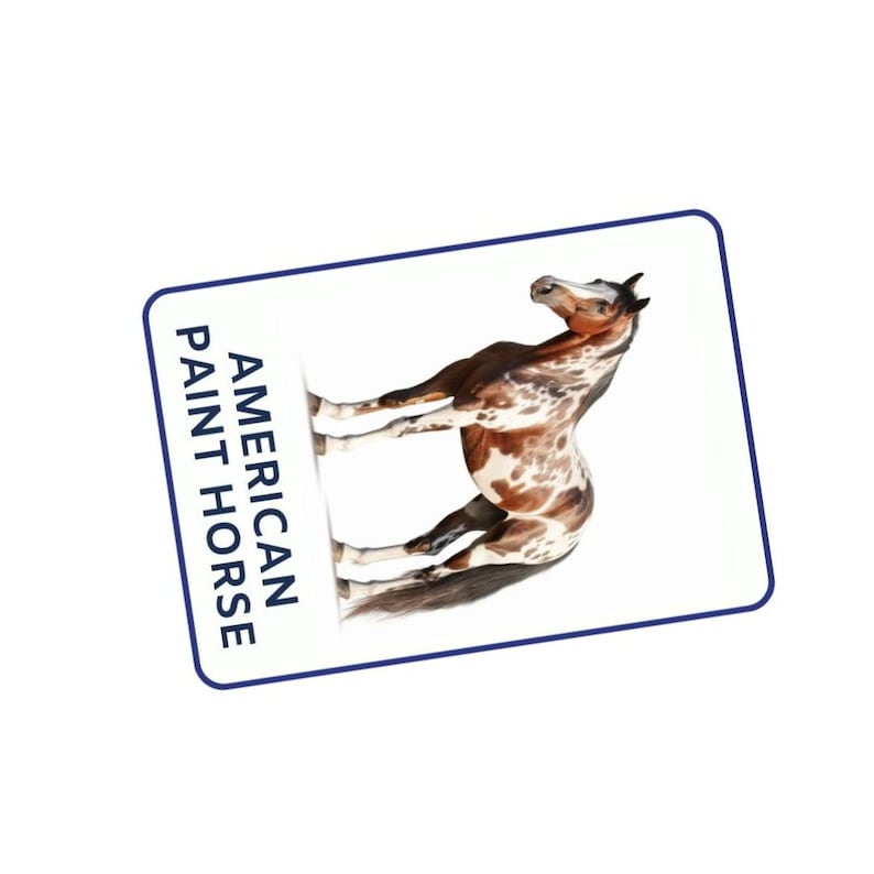 Discover 32 Horse Breeds Flashcards, Montessori-inspired, Printable ...