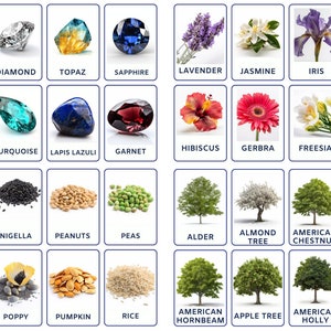 Life Essential Elements Flashcard Bundle, Including Seeds Flashcard, Trees, Flags, Gemstones, Flowers, Instant Download