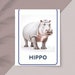 32 Zoo Animals Flashcards, Kids Printable, Nomenclature Cards, Toddler ...