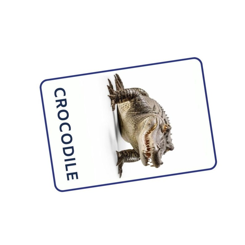 32 Zoo Animals Flashcards, Kids Printable, Nomenclature Cards, Toddler ...