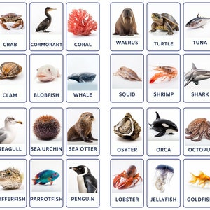Engage Kids With 32 Ocean Animals Flashcards, Montessori Materials, Ocean Animals Cards, Perfect for Toddlers, Preschool, and Homeschooling