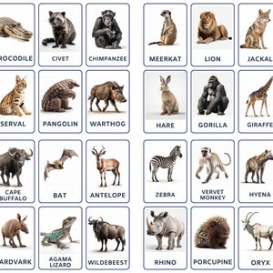 32 cartes flash Safari Animals, imprimables pour enfants, cartes de nomenclature, activité pour les tout-petits, cartes Montessori, cartes pour l’école maternelle, cartes animaux,