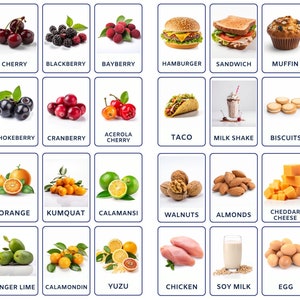 Le lot de cartes flash d'aliments et de fruits comprend des baies, des agrumes et des légumes, des noix, des aliments protéinés, de la restauration rapide, un usage commercial