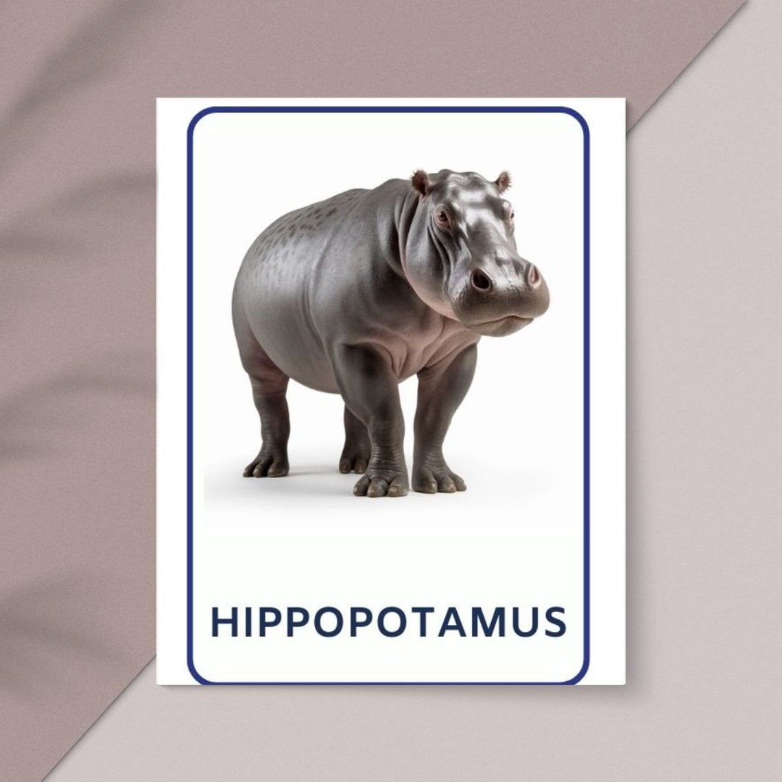 32 Safari Animals Flashcards, Kids Printable, Nomenclature Cards ...