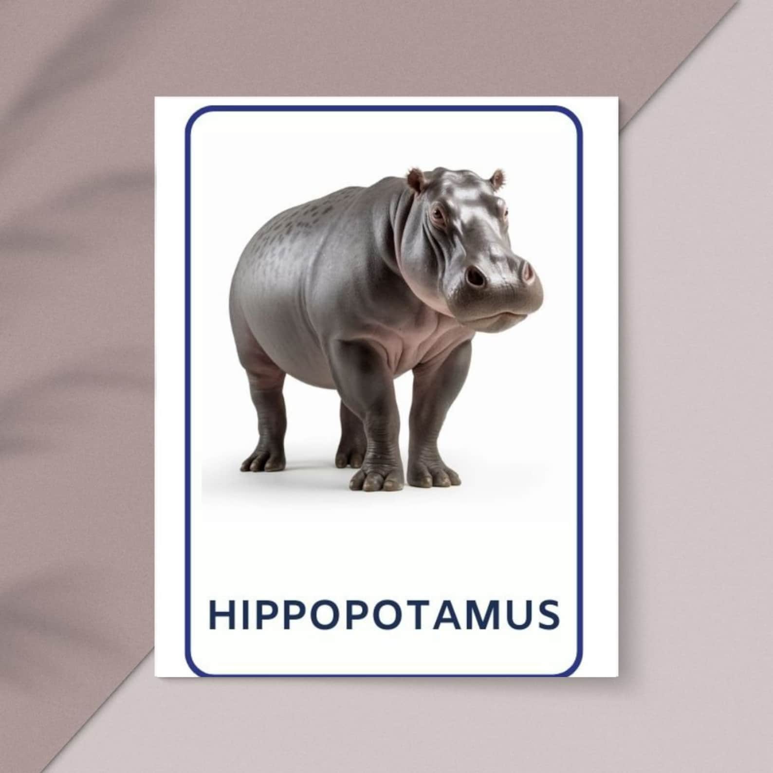 32 Safari Animals Flashcards, Kids Printable, Nomenclature Cards ...