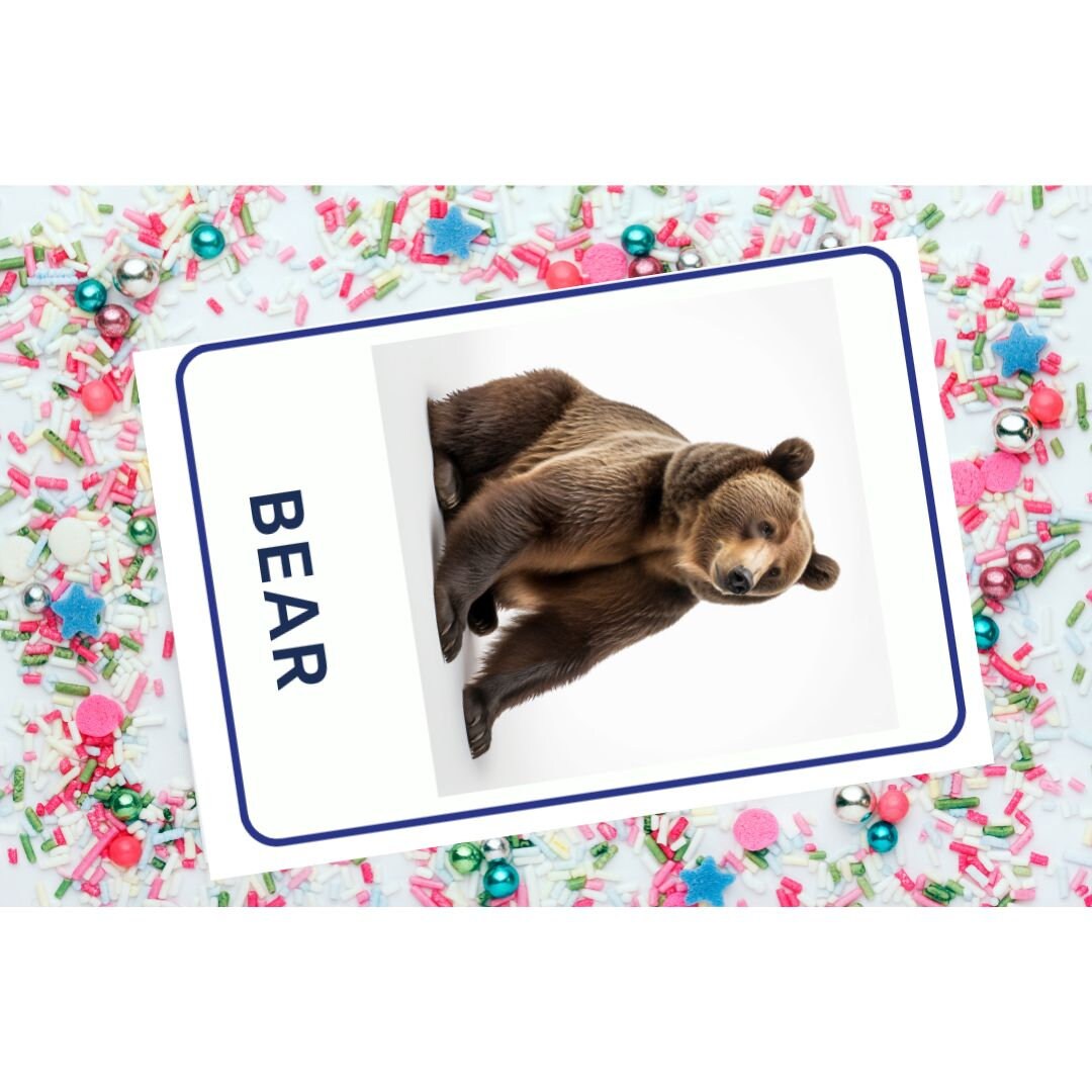 Discover Jungle Animals 32 Montessori Flashcards With Editable PDF ...