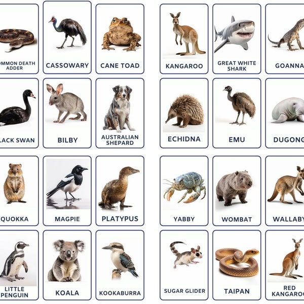 Explore 32 Australian Animals Flashcards for Kids, Printable Nomenclature, Montessori Cards. Perfect for Toddlers, Preschoolers