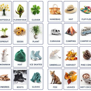 Op de afbeelding: Een set van 40 geïllustreerde kaarten met verschillende objecten en concepten, waaronder bloemen, planten, kampeeruitrusting, winterartikelen en voedsel. Elke kaart heeft een kleurrijk beeld en een woordlabel eronder.