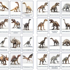 Esplora i dinosauri con 32 Flash Card Montessori, Immagini reali, PNG modificabili, FlashCard con nomenclatura, Carte stampabili per la scuola materna