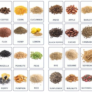 SEEDS Montessori-Lernkarten, echte Bilder, 32 bearbeitbare Karten für Nomenklatur, druckbare Karten für Vorschul- und Montessori-Spielzeug