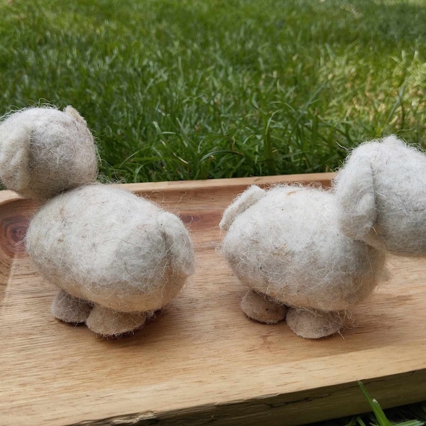 Mouton en pure laine