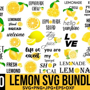 Lemon Svg Bundle, Hello Summer Svg, Beach Svg, Lemonade Svg, Make Lemonade Svg, Porch Sign Svg, lemon layered, Lemon Slice Svg, for Cricut,
