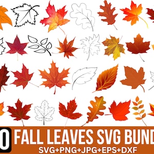 Herbst Blätter SVG Bundle: Herbst Blätter Png, Herbst Clipart, Herbst Clipart, Halloween Schmuck, Herbst Clipart, Glowforge Schmuck, Cricut (Digitale Dateien)