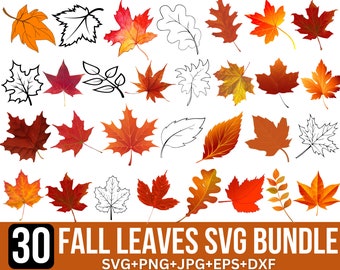 Fall Leaves Svg, Fall svg, Hello Fall Svg, Leaf Clipart, Halloween svg, Fall Leaf Svg, Glowforge files, Autumn Leaves, Svg Files For Cricut