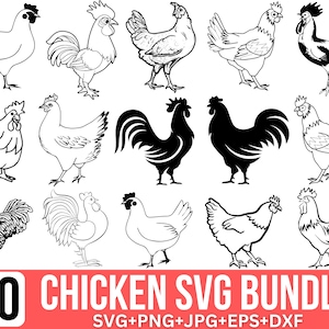 Bundle Svg poulet, Svg coq, poulet fermier Svg, Svg poulet floral, Svg poulet murmure, Svg dame folle, fichier coupe Cricut, Silhouette