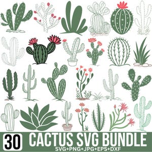 Pacote de cactos Svg, cactos flor Svg, cactos e flores suculentas, coleção de cactos, suculentas png, cactos clipart, arquivos de corte para Cricut