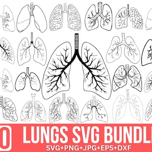 Lungs Svg Png Bundle, Human Lung Svg, Floral Lungs Svg, Lung Disease Svg, Wild flowers Svg, Lungs Clipart, Cut files for Cricut, Silhouette