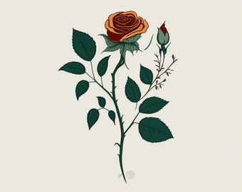 Può includere: Una singola rosa arancione con foglie verdi e un bocciolo su uno stelo. La rosa è in fiore e ha un aspetto delicato e femminile.