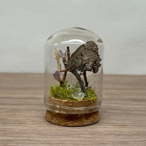 Mini Schmetterling Haube