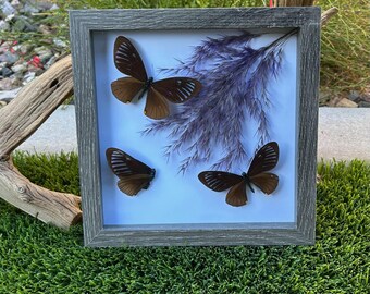 Mimo de rayas azules de 8x8 - Madera gris