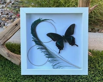 Cola de golondrina negra alpina de 8x8 - Blanca