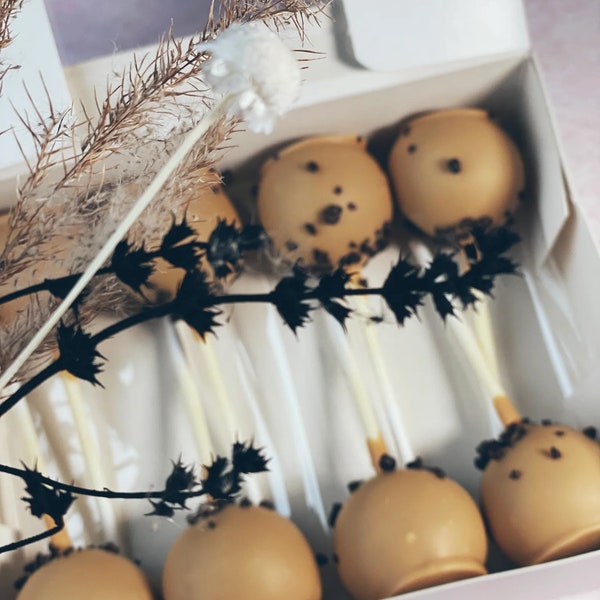 8er Cake Pops Box „Coffee Break“