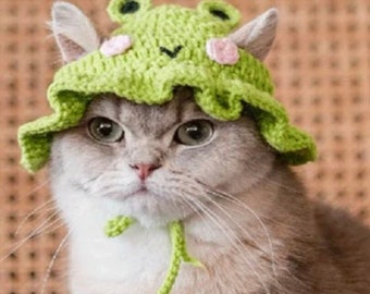 Frog Design Knitted Pet Hat
