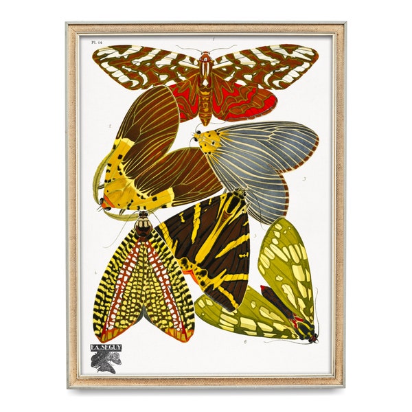 Art Deco Moth Poster, E. A. Seguy, Butterfly Illustrations, Art Nouveau Moth Print, Brown, Red, Yellow Moths