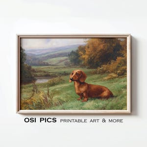 Pode incluir: Impressão emoldurada de um cão dachshund num campo. O cão é castanho, com um corpo longo e pernas curtas, sentado na relva verde. O fundo apresenta uma paisagem com árvores, um rio e colinas. O texto "OSI PICS PRINTABLE ART & MORE" está na parte inferior.