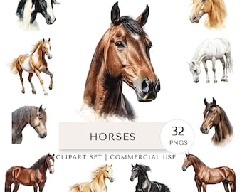 Horses Clipart Set | Horse Breeds Digital Stickers