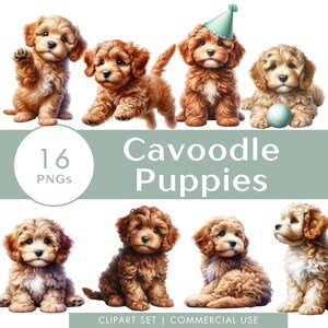 Cavoodle Puppies Conjunto de clipart em aquarela