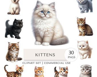 Kitten Clipart Set | Cat Breeds Digital Stickers