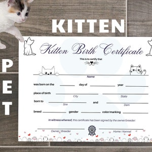 Afdrukbaar * Geboorteakte kitten – document schrijven in geboorteakte, thuisbevalling, boerderijdier, fokker, pelskat kat – US letter pdf