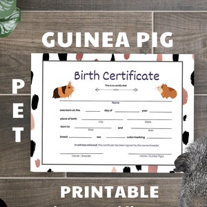 Afdrukbaar * Geboorteakte cavia – document schrijven in geboorteakte, thuisbevalling, boerderijdier, fokker, harig huisdier – US letter pdf