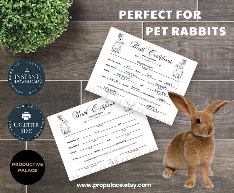 Printable * Rabbit Birth Certificate – Document Write in Birth Record ...