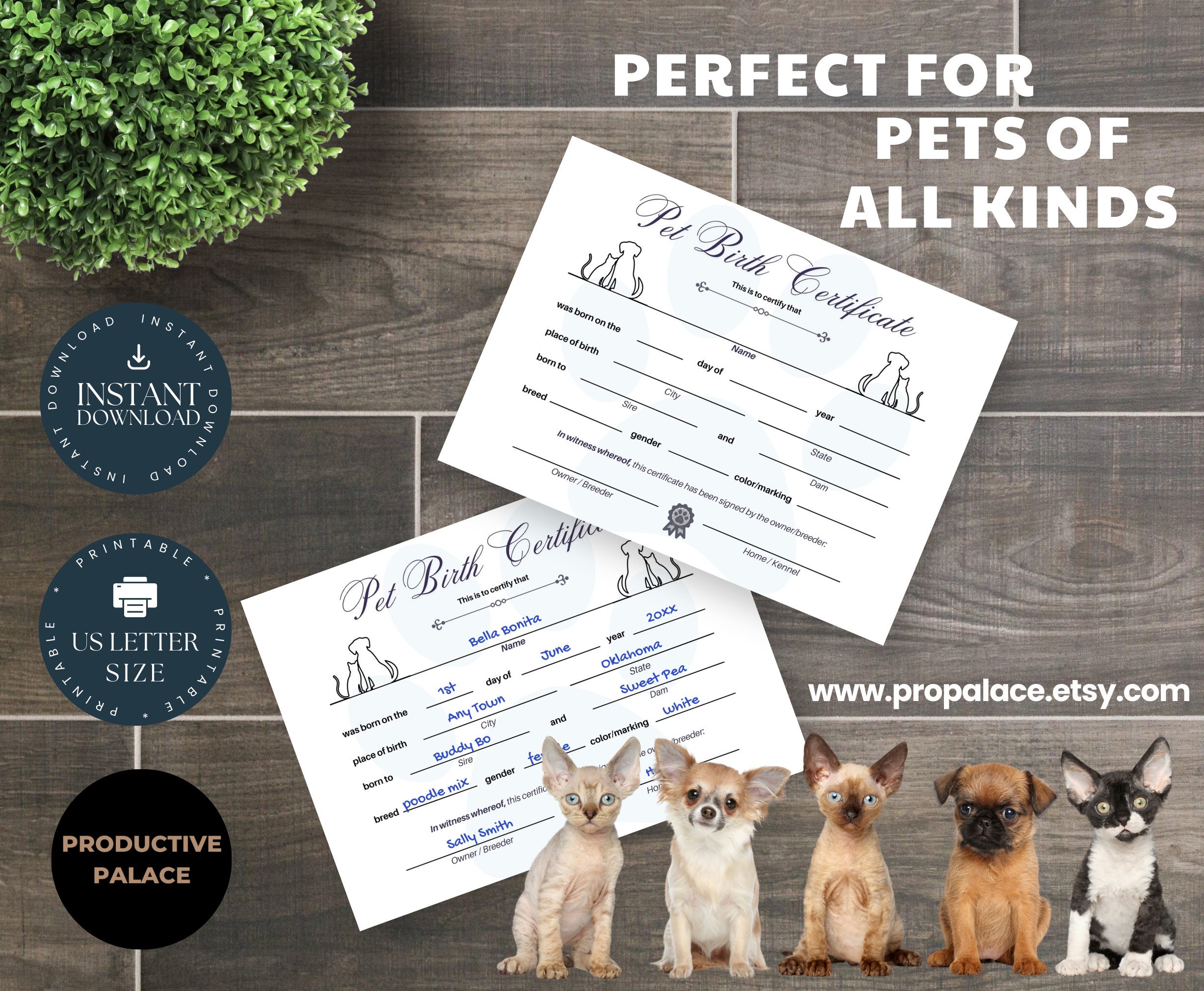 Printable Pet Birth Certificate Pet Birth Record Puppy - Etsy