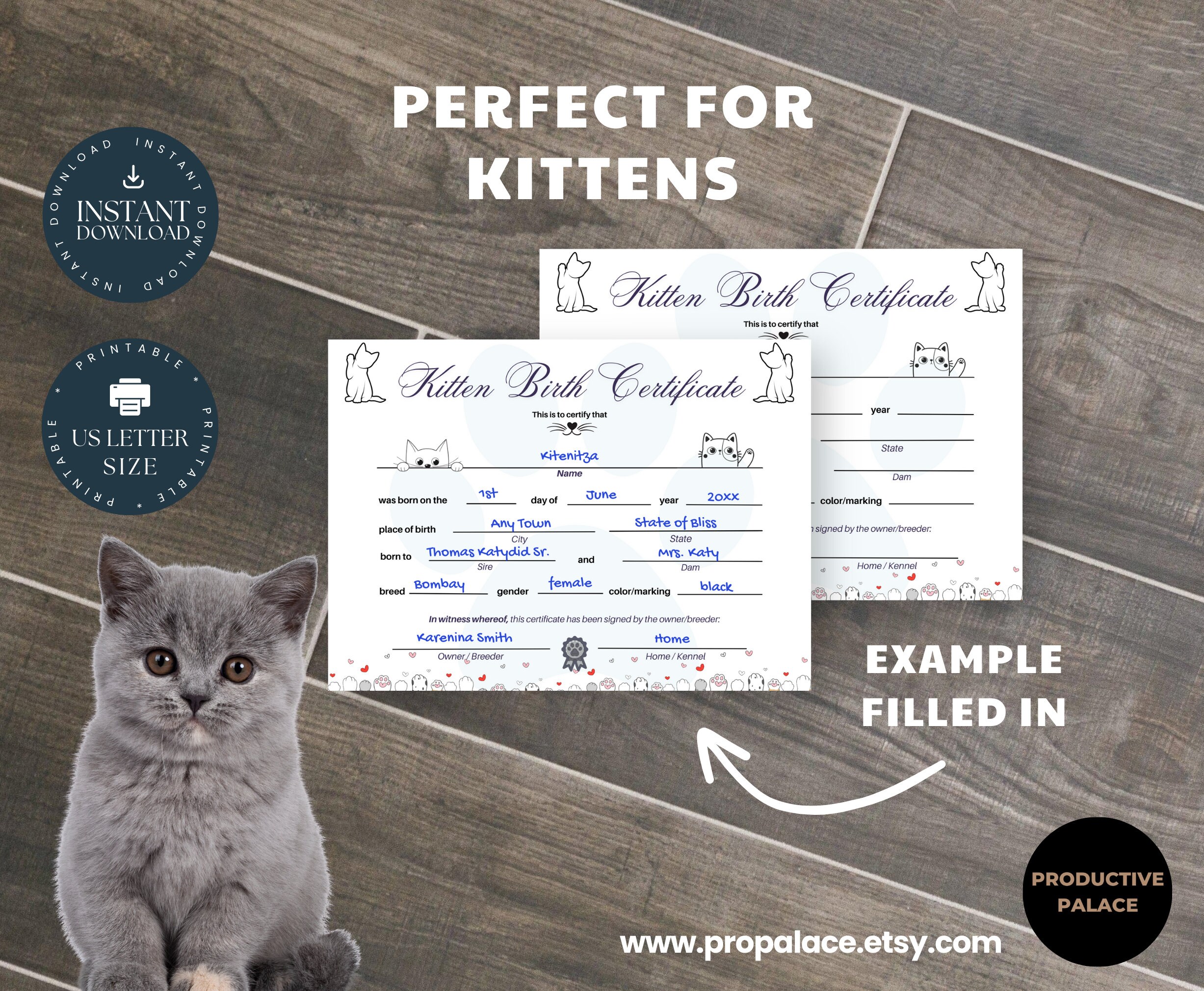 Printable Kitten Birth Certificate Pet Birth Record, Kitten, Cat ...